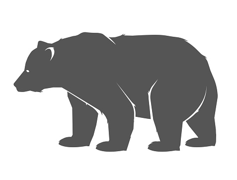 Illustration of bear, standing in profile.
