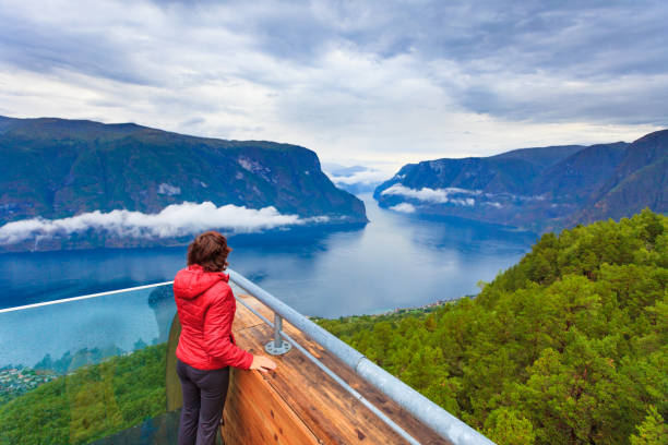 tourist enjoying fjord view on stegastein viewpoint norway - aurlandfjord imagens e fotografias de stock