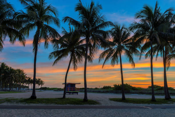 istock Tropical Beach at sunrise 1191394312