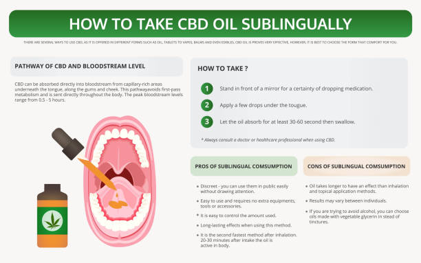 illustrations, cliparts, dessins animés et icônes de comment prendre cbd oil sous-l'infographie manuel horizontal - sublingual