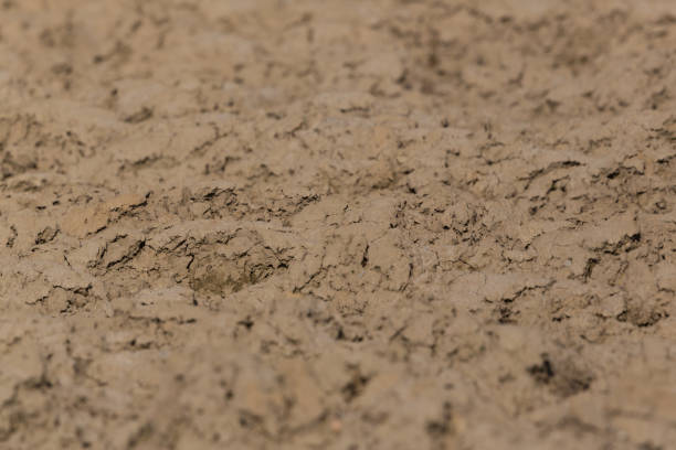 istock close-up brown natural soil ground 1191396718