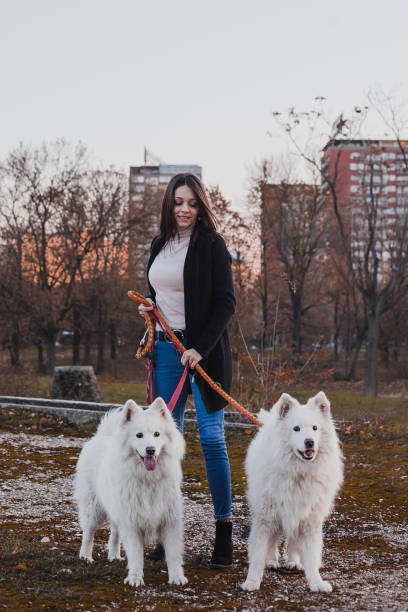 istock Girl with dogs 1191396993