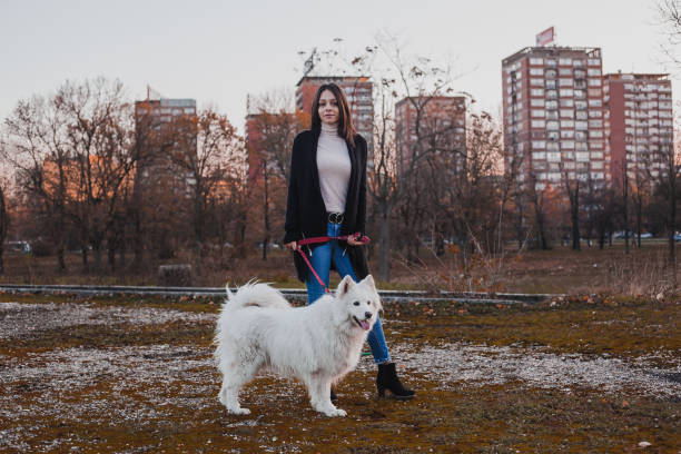 istock Girl with a dog 1191397037