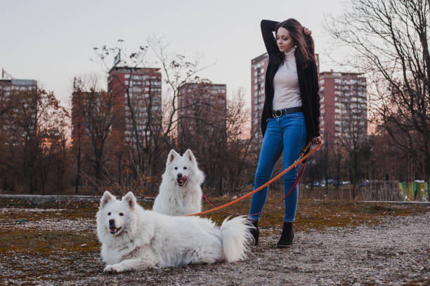 istock Girl with dogs 1191397199
