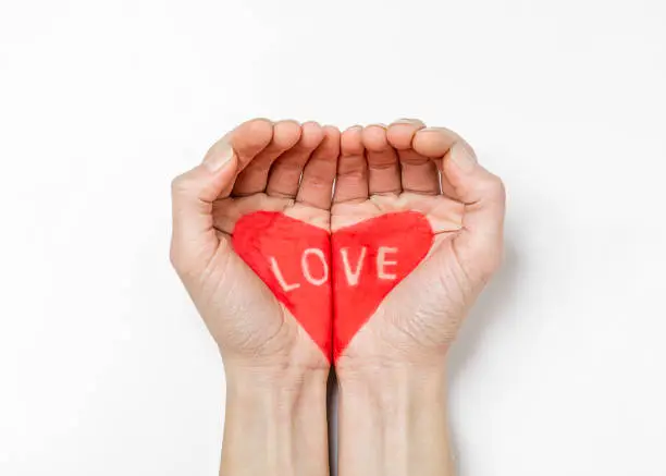Photo of Heart painted on the hands on white background.