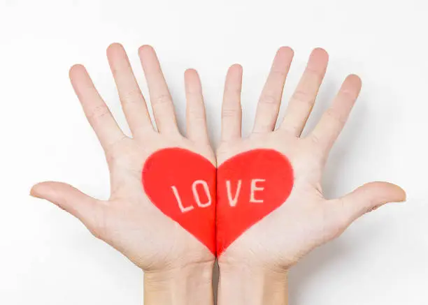 Photo of Heart painted on the hands on white background.