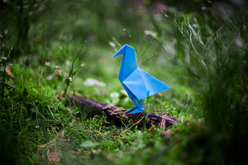 Blue, made of paper origami bird sitting on the fallen branch in forest