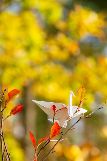 istock Origami crane on a tree branch 1191401431