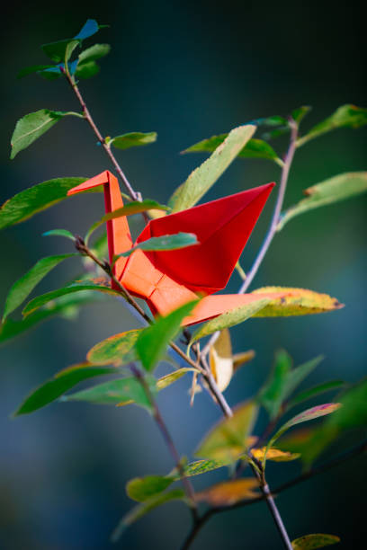 istock Origami crane on a tree branch 1191401523