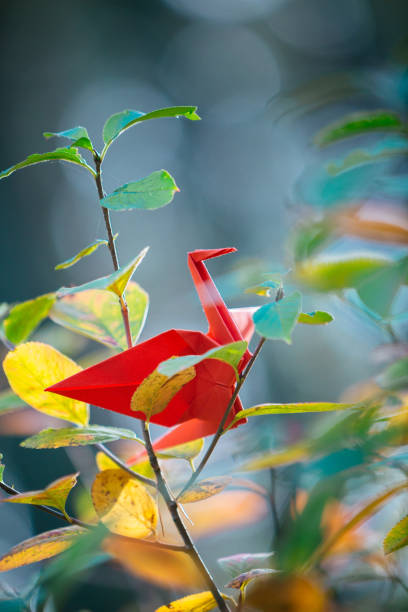 istock Origami crane on a tree branch 1191401533