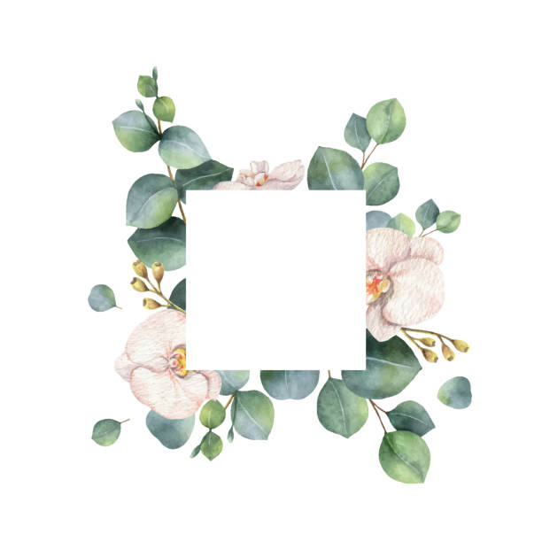 рама вектора акварели с ветвями эвкалипта и цв�етами орхидеи. - tree watercolor painting leaf zen like stock illustrations