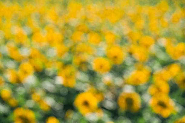 Abstract background with defocused lights and bokeh