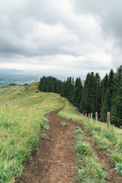 istock Kalajun Grassland, Xinjiang 1191407116