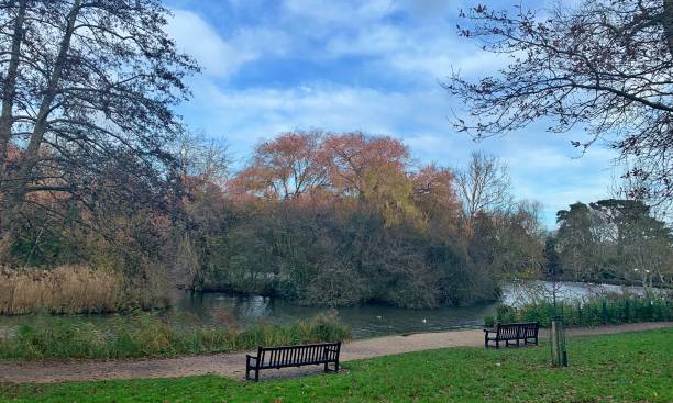 istock The park in autumn 1191407709