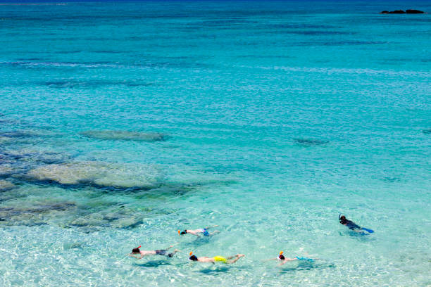 istock Snorkeling in clear water 1191408612