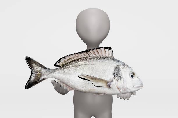 3D Render of Cartoon Character with Gilthead Bream