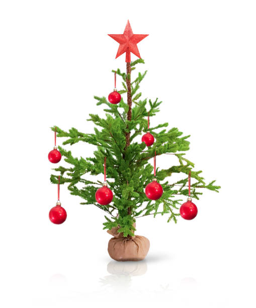 piccolo albero di natale isolato su bianco - photography christmas star winter foto e immagini stock
