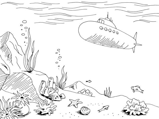 podwodny podwodny graficzny morze czarny biały szkic ilustracja wektor - doodle fish sea sketch stock illustrations