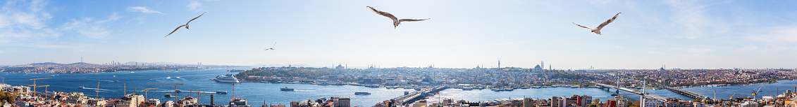 Golden Horn in Istanbul, famous sights in full panorama, Turkey.