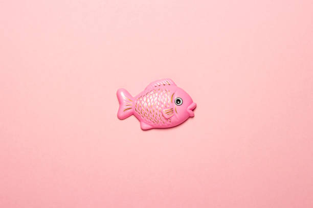 plastic toy fish on a pink background. the concept of child development, proper nutrition, diet, artificial food. flat lay, top view - food dinner prepared fish gourmet imagens e fotografias de stock