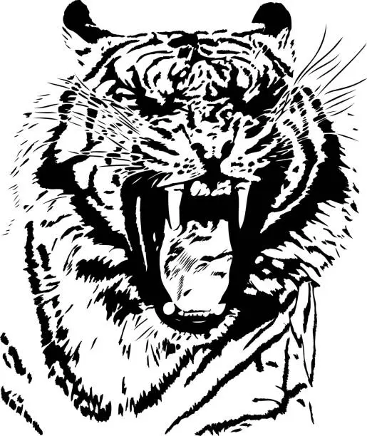 Vector illustration of Tiger yawn in black lines