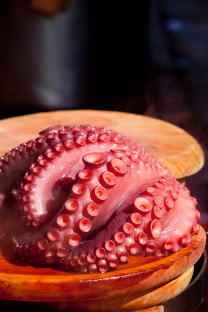 Boiled octopus close up on a wooden plate,ready to prepare \