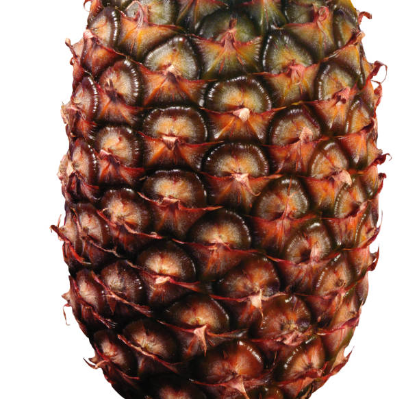 Pineapple isolated on the white background