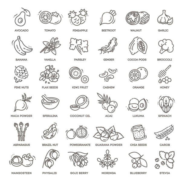 illustrations, cliparts, dessins animés et icônes de superfoods ligne icônes vectorielles. - nut bean legume seed