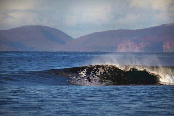 big wave coldwater surf