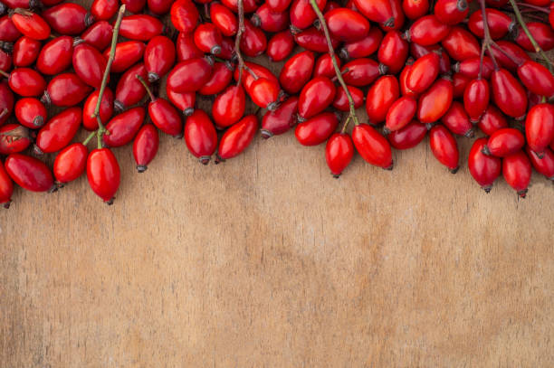 freshly picked rose hips on the wooden table. - dogrose imagens e fotografias de stock