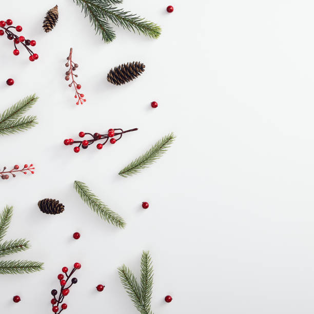 istock Evergreen tree branch and red berries 1191427002