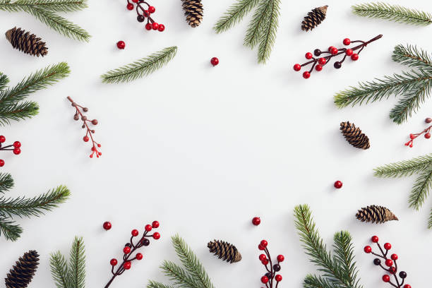 evergreen tree branch and red berries - christmas red decoration christmas ornament imagens e fotografias de stock