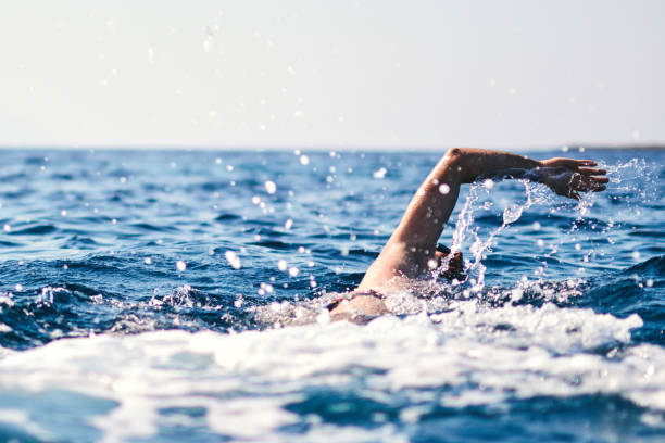 istock Swimmer training on the open sea / ocean. 1191427905
