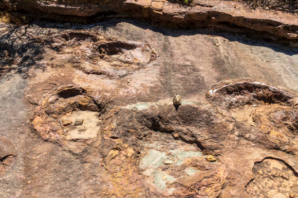 istock Fossilized dinosaur tracks at Torotoro, Bolivia. 1191429854