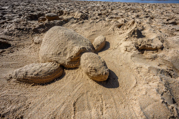 istock Beach in Portugal on the West Coast 1191430006