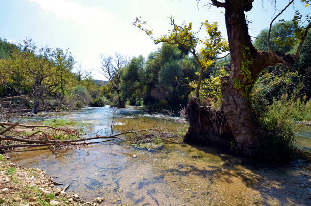 istock Greece, Epirus, Louros Valley 1191431669