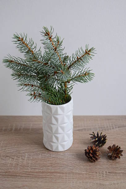 istock Minimalist winter home decorations 1191432652