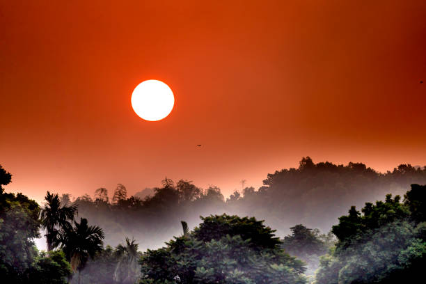 Close-up image of the sun behind a tree at sunset. Beautiful sunsets with orange and red skies behind treetops and mountains. concept of loneliness
