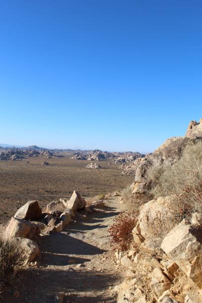 istock RYAN MOUNTAIN TRAIL - JOSHUA TREE NP - 103119 B 1191441528