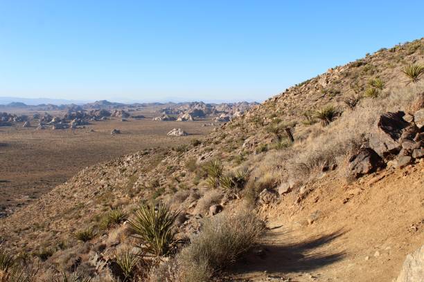 istock RYAN MOUNTAIN TRAIL - JOSHUA TREE NP - 103119 C 1191441594