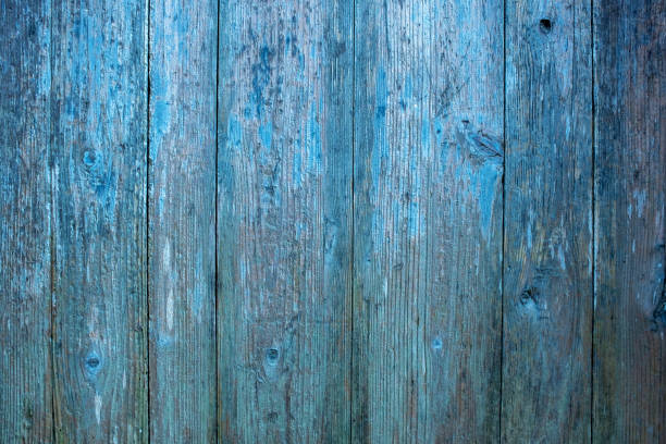 Grunge old blue wood door textured background
