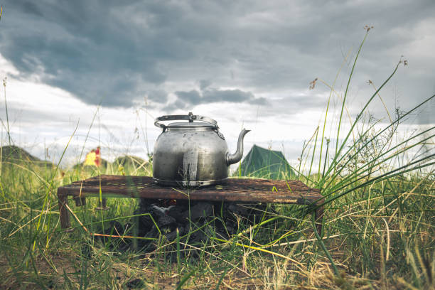 tea kettle on campfire in bush camp on Zambezi island