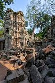 khmer-tempel-von-ta-prohm-in-angkor-wat-