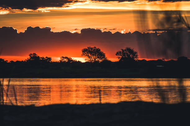 panoramic view over the Zambezi river at colorful sunrise hour