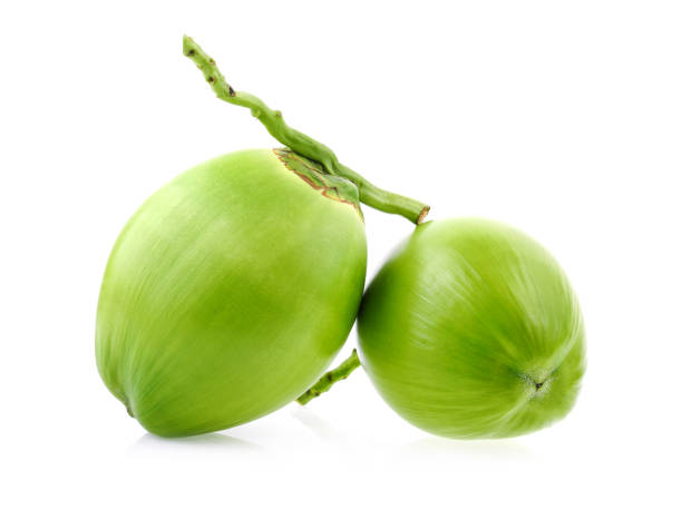 istock Green coconut Fruit isolated on white background 1191448285