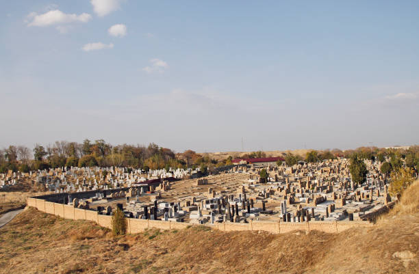 istock Cemetery in the ancient site Afrasiyab, Samarkand 1191451593