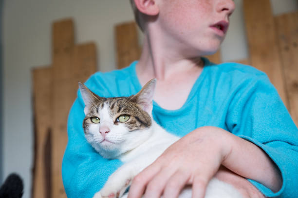 istock Boy cuddles with his pet cat 1191452056