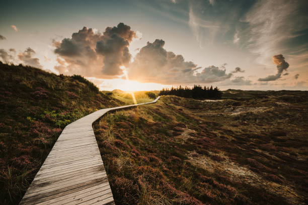 Way through the dunes Boardwalk through the dunes, Amrum, Germany amrum stock pictures, royalty-free photos & images