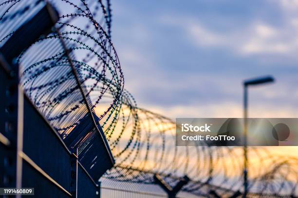 Barbed Wire Stock Photo - Download Image Now - Prison, Barbed Wire, Fence
