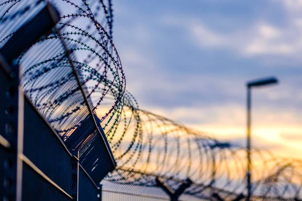 barbed wire - war criminal imagens e fotografias de stock